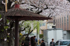 IMG_4992p